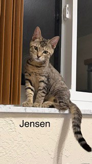 Photo 2 of Jensen