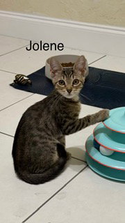 Photo 2 of Jolene