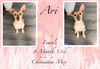 adoptable Dog in  named Ari