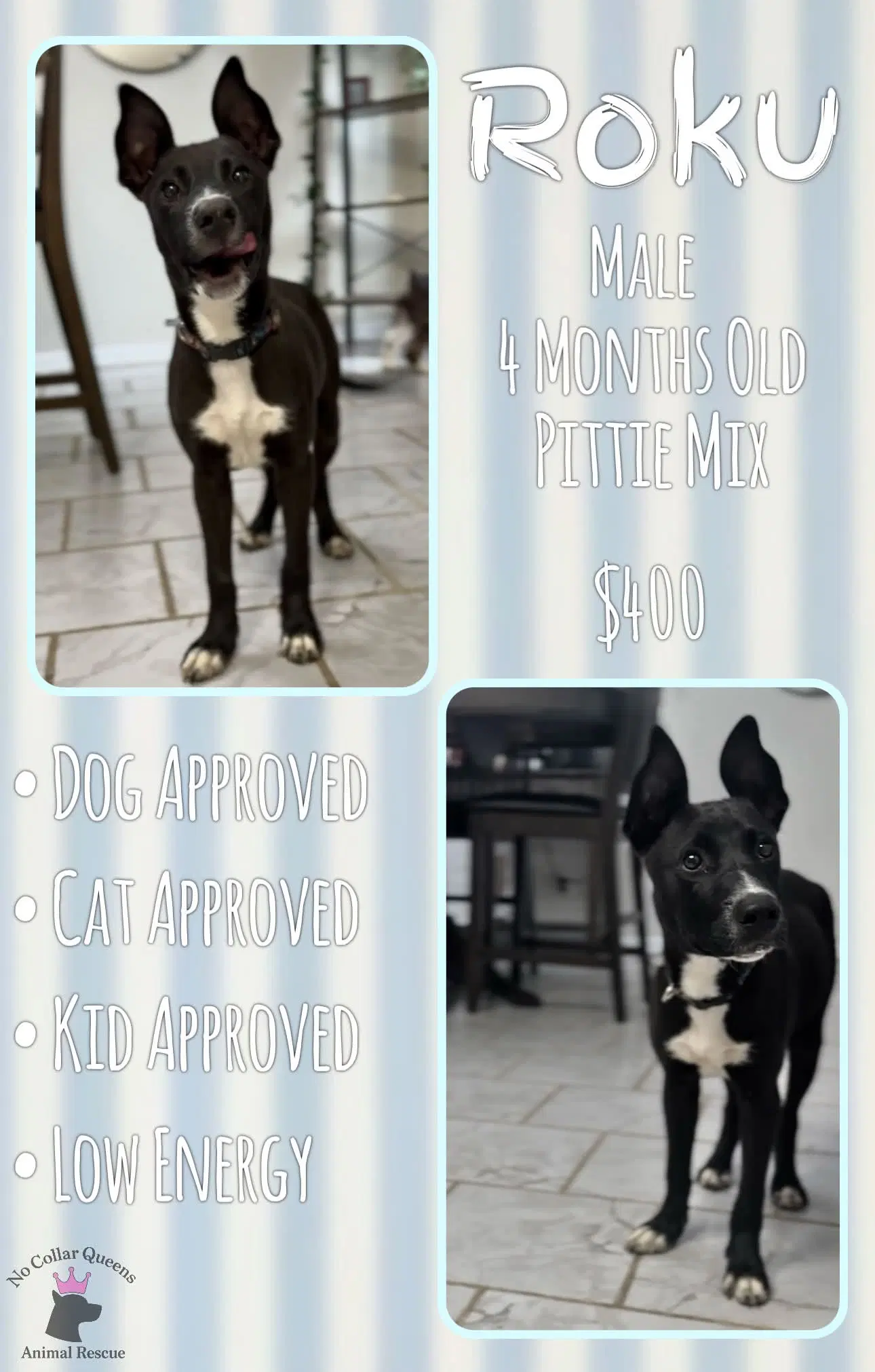 Roku image 2