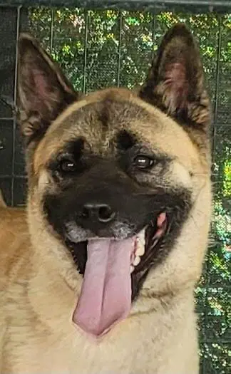 Lexi image 2