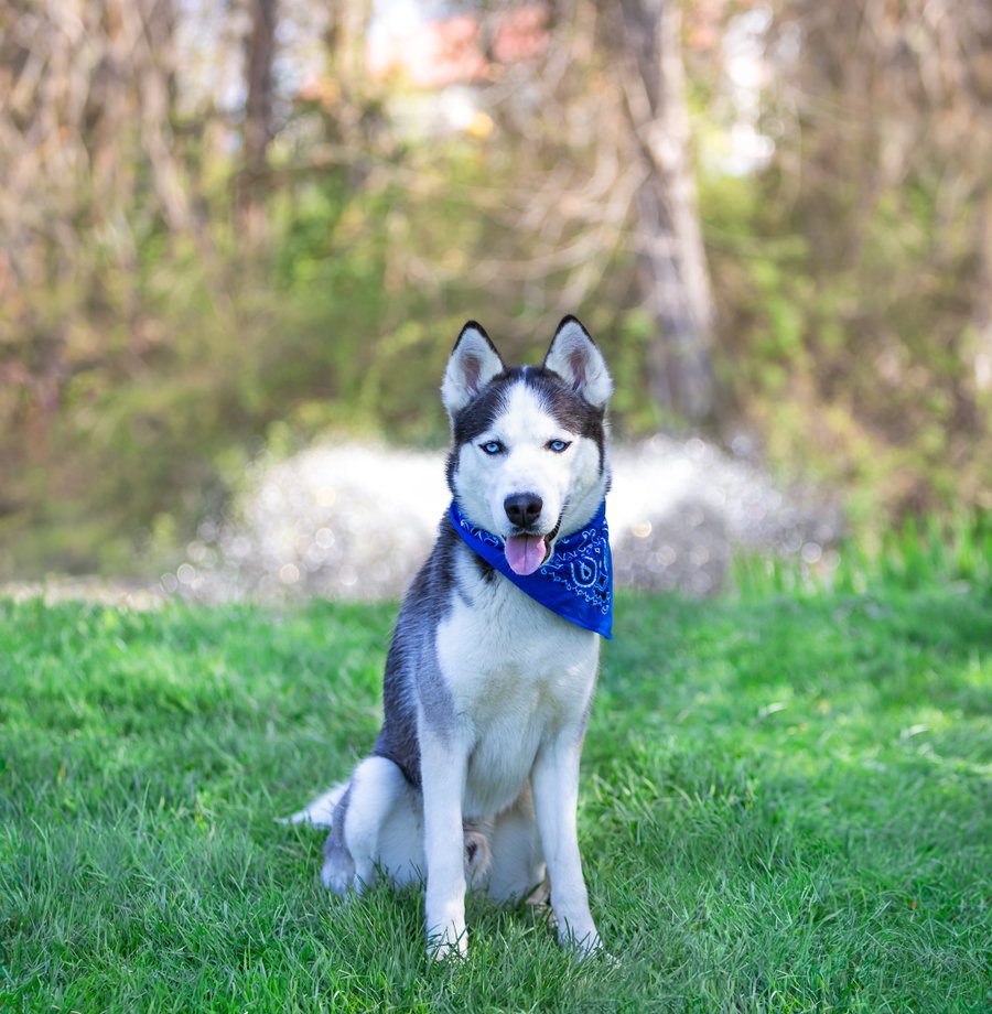 Yukon