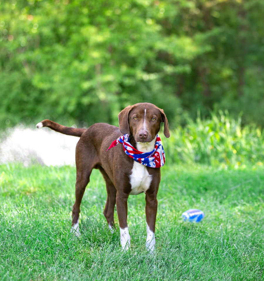 Hershey