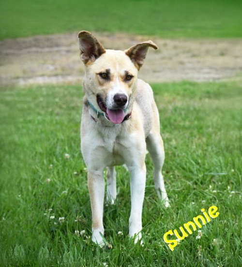 Sunnie