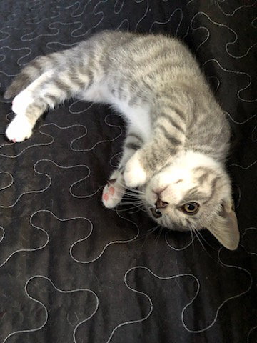 Juanita photo 3