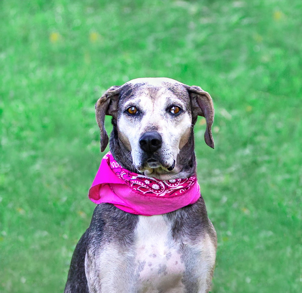 Skye, photo 9