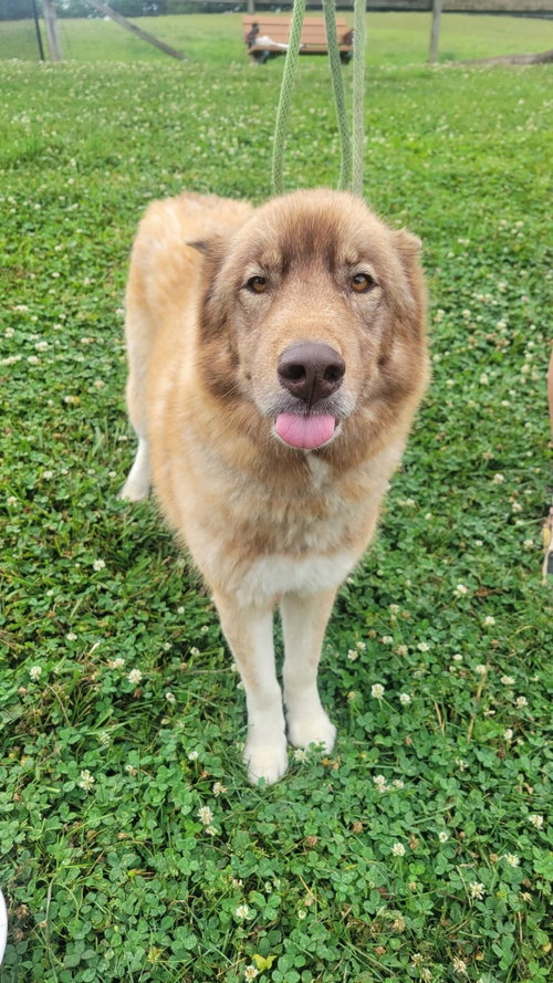 Hondo photo 3