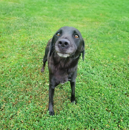 Kassie