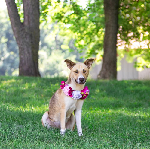Sunnie photo 4