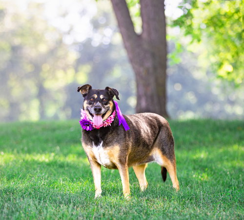 Lucy photo 2