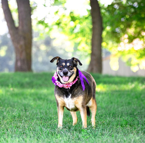 Lucy photo 3