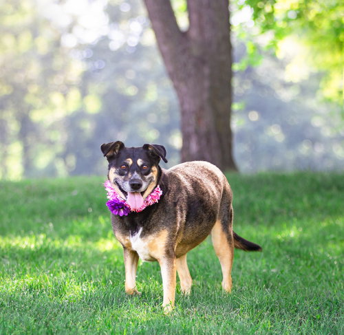 Lucy photo 4