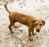 Alvin - Photo 2