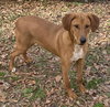 Alvin - Photo 4