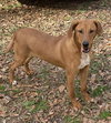 Alvin - Photo 5