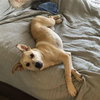 Twix - Photo 5