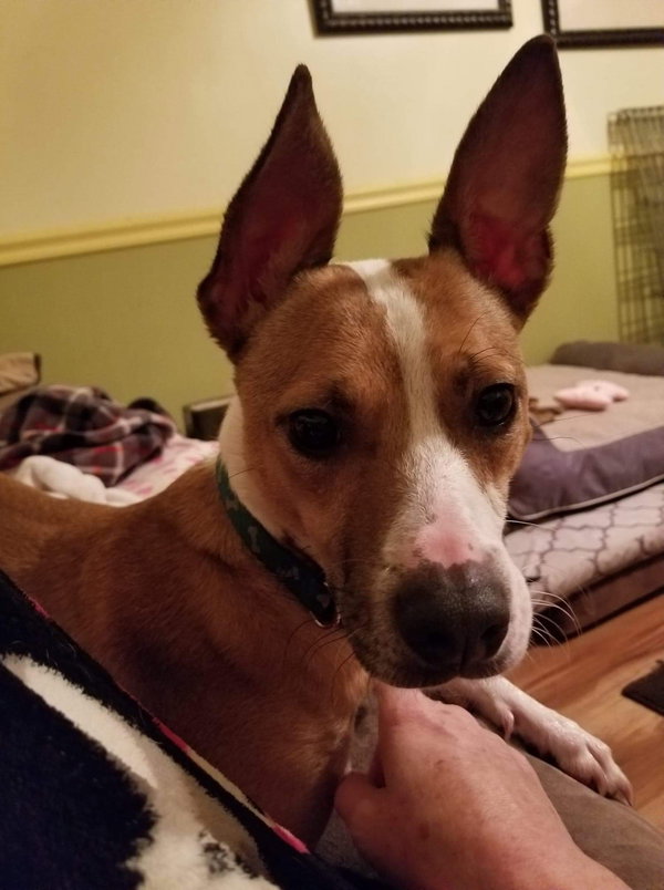 Sam