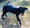 Genie - Photo 6