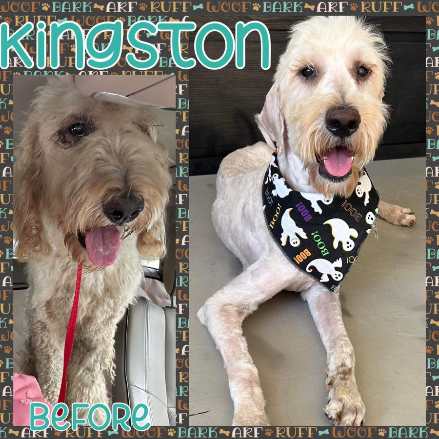 Kingston