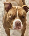 Angelic aka Angel - Photo 1