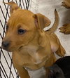 Mav - Photo 2