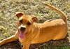 Mav - Photo 4
