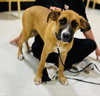 Tucker - Photo 3
