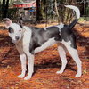 Athena - Photo 5
