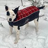 Athena - Photo 2