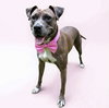 Lainey - Photo 5