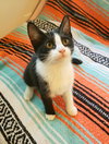 Winnie - Photo 4