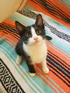 Winnie - Photo 5