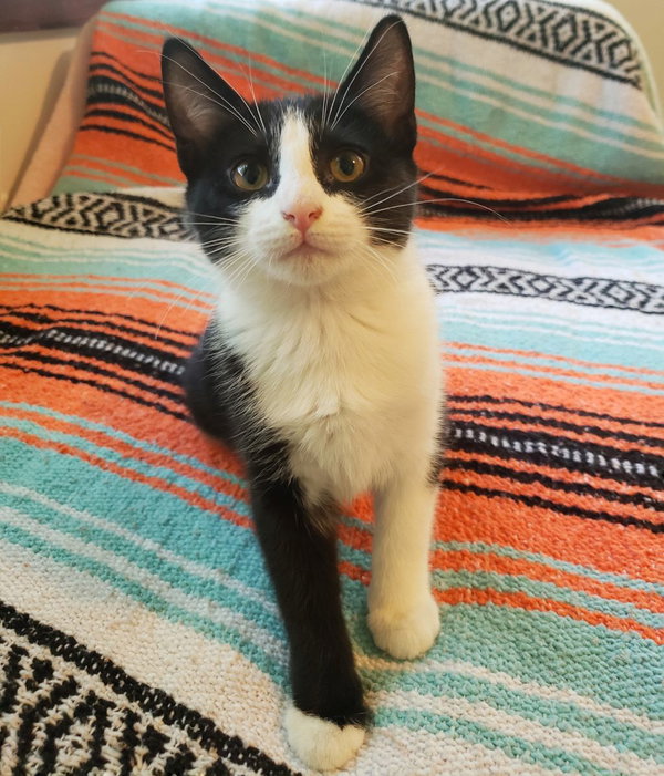 Winnie
