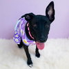 Tink - Photo 2