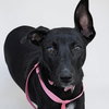 Tink - Photo 4