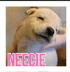 adoptable Dog in semmes, AL named Neecie
