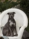Sweetie - Photo 4