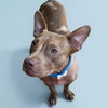 Asher - Photo 1