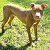 Avery - Photo 1