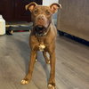 Avery - Photo 1