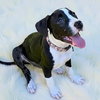 Daisy Lou - Photo 2