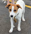 Eddie - Photo 2