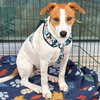 Eddie - Photo 1