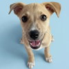 Frazier - Photo 5