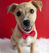 Frazier - Photo 4