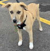 Frazier - Photo 3