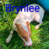 Brylee - Photo 3