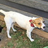 Brylee - Photo 2