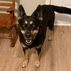 Daisy - Photo 2