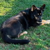 Daisy - Photo 1